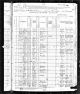 1880 United States Federal Census - Mary (Mccormick).jpg